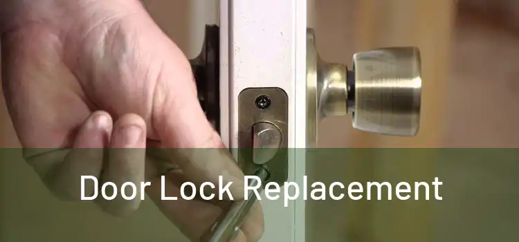  Door Lock Replacement 